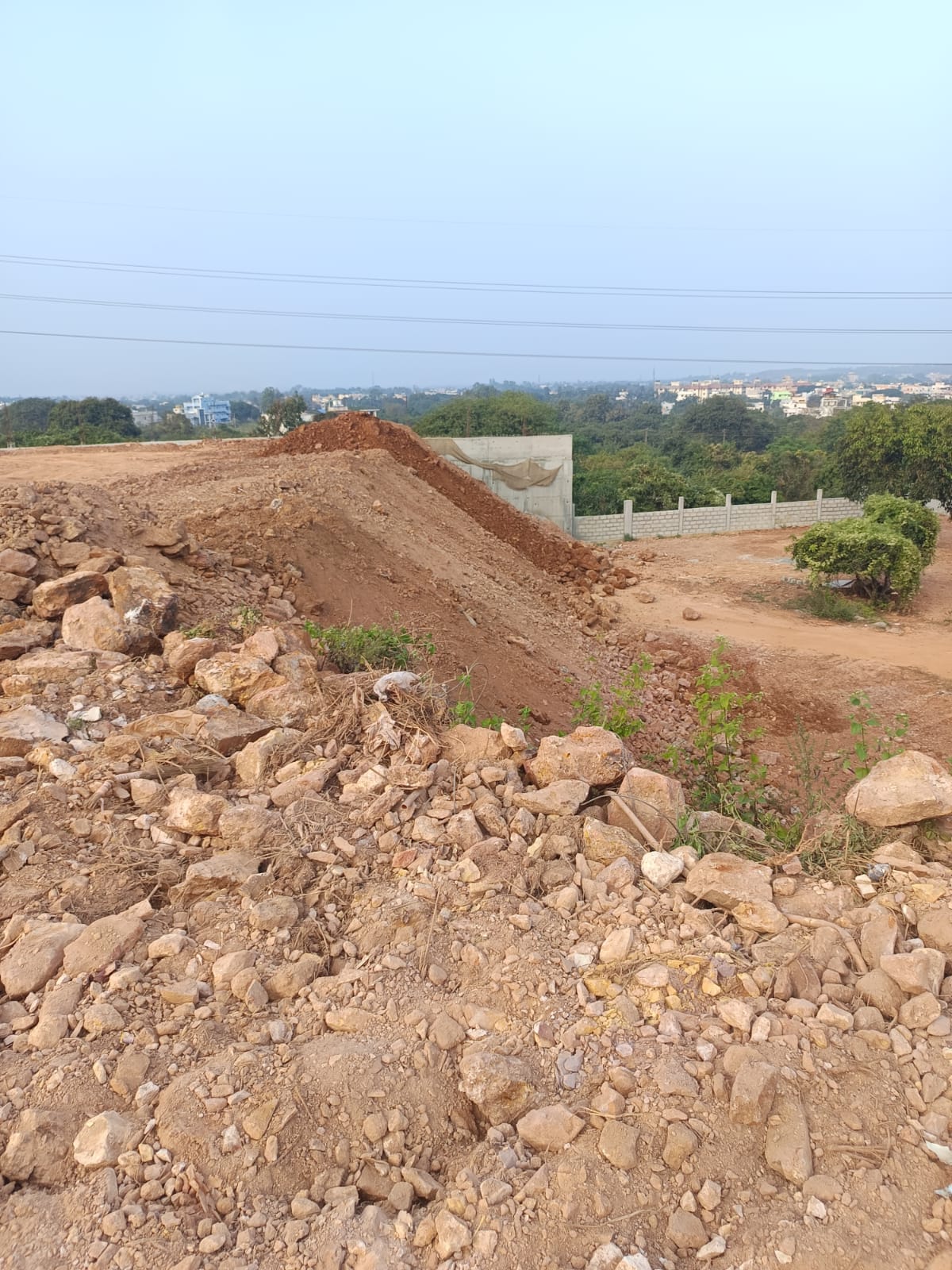 WhatsApp Image 2025-12-29 at 12.21.09 PM