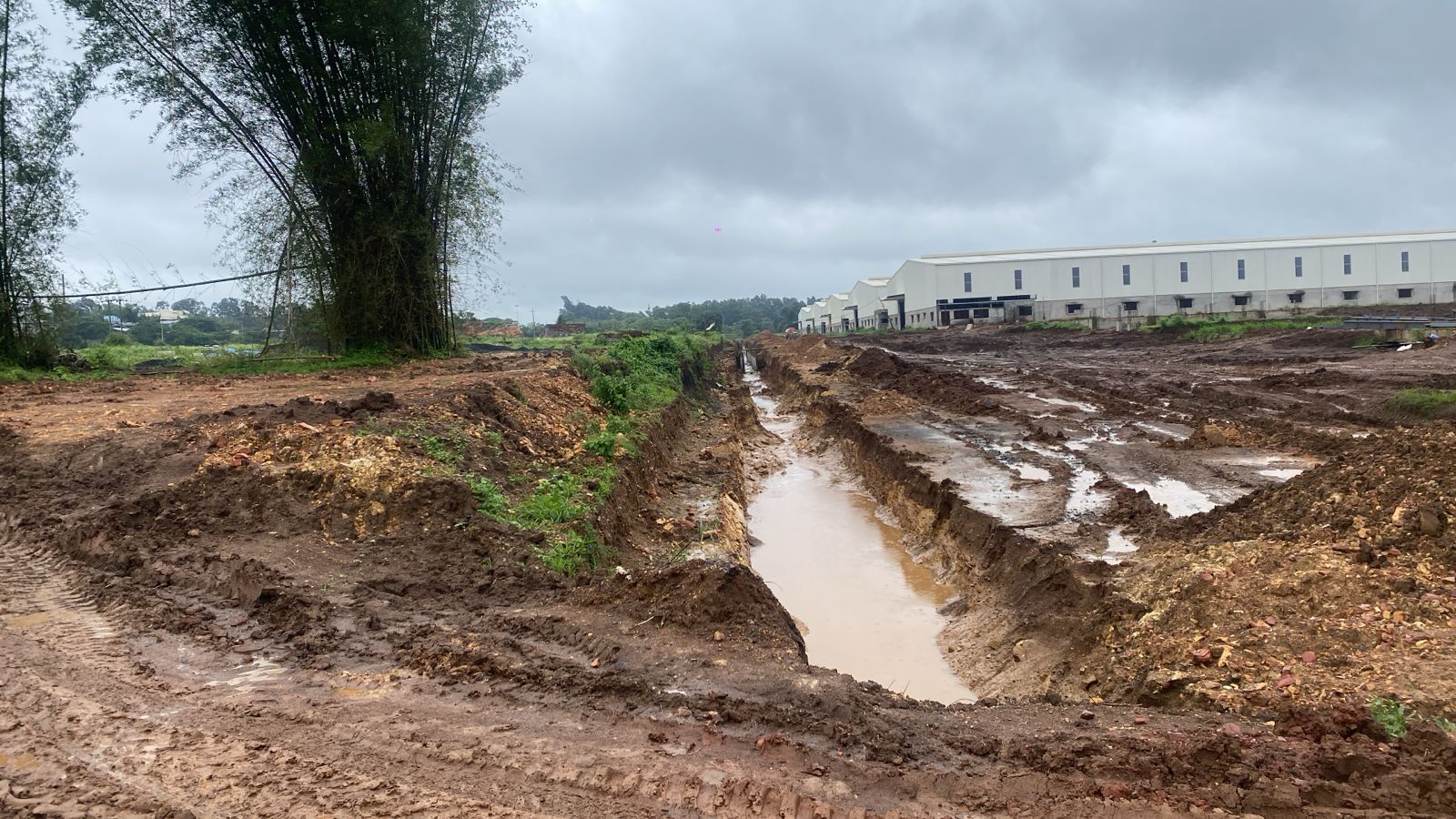 WhatsApp Image 2025-12-29 at 12.21.11 PM