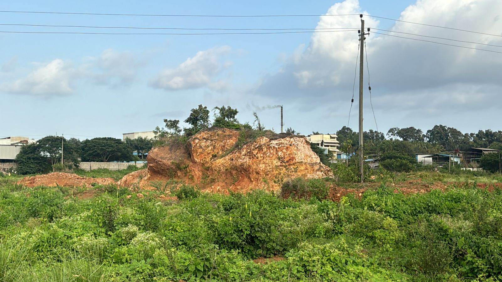 WhatsApp Image 2025-12-29 at 12.35.46 PM