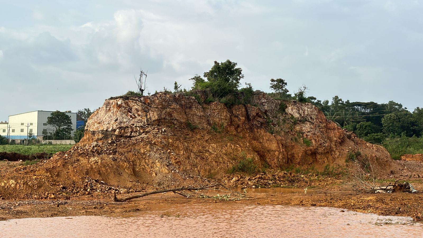 WhatsApp Image 2025-12-29 at 12.35.48 PM